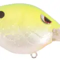 TROPICAL SHAD