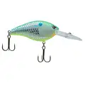 CITRUS SHAD