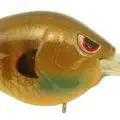 BLUE GILL