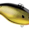 BLACK BACK GOLD