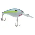 NASTY SHAD