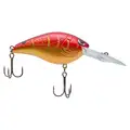 RAYBURN RED