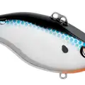 CHROME SHAD