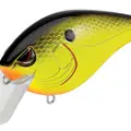SB CHARTREUSE BLACK BACK