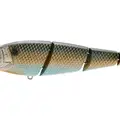 KILLER GILL