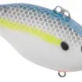 NASTY SHAD