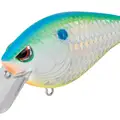 SB CITRUS SHAD