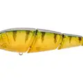 TRANSPLATE PERCH