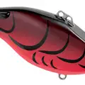 RED BUG