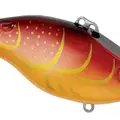 RAYBURN RED