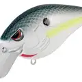 SB NASTY SHAD