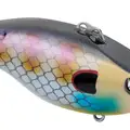 BLUE GILL
