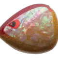 WHITE ABALONE ORANGE GLITTER