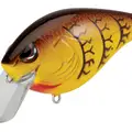 SB SPRING CRAW