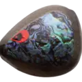 BLACK ABALONE BLACK GLITTER