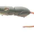 GRAY GHOST
