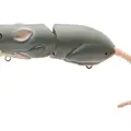 RAT 40 GRAY GHOST