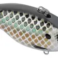 KILLER GILL
