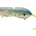 RAT 40 NASTY SHAD
