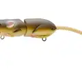 RAT 30 BROWN