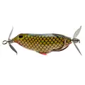 CARP
