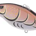 RUSTY GOLD