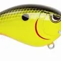 CHARTREUSE BLACK BACK