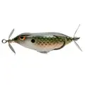 KILLER GILL