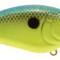 CHARTREUSE BLUE