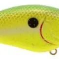 CHARTREUSE NASTY