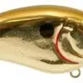 CHROME OLIVE
