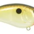 COPPER SHAD