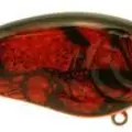 FIRE CRAW
