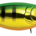 GOLDEN PERCH