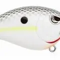 NASTY SHAD