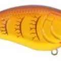 SPRING CRAW