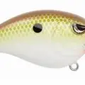HONEY SHAD