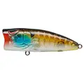 CLEAR GILL