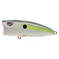 NASTY SHAD