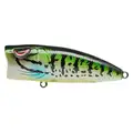 PUMPKINSEED