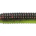 WATERMELON CHARTREUSE