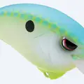CITRUS GLIMMER (ABALONE SPECIAL)