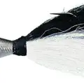 DARK SHAD