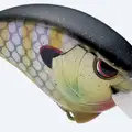 PHANTOM BLUE GILL