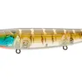 CLEAR GILL