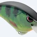 REAL PERCH