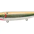 CHROME OLIVE