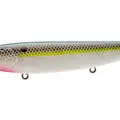 NASTY SHAD