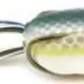 NASTY SHAD