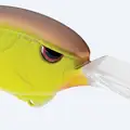 CHARTREUSE HONEY SHAD